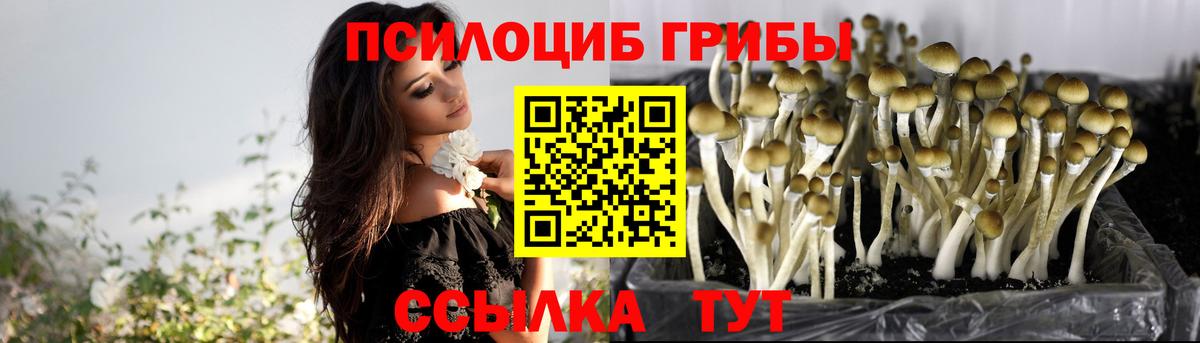 Галлюциногенные грибы GOLDEN TEACHER  Вход с VPN  Красноперекопск 